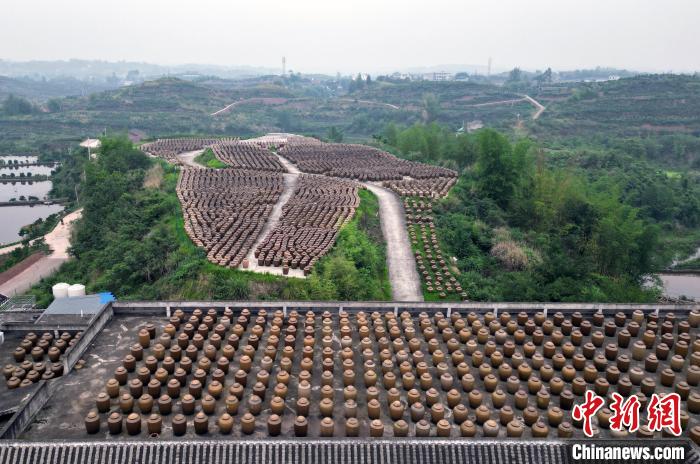 蓝狮娱乐主管：四川富顺：天然晒场摆放近3万个“醋坛子”场面壮观